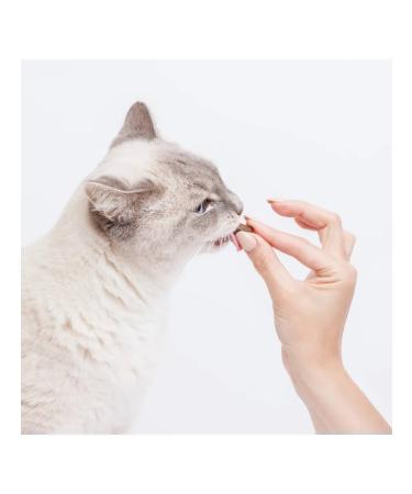 Chewell Baranna treat for cats 30 g 6 pcs - Buy Online on GoSupps.com