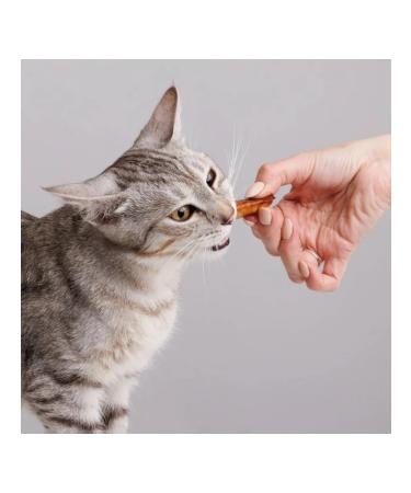 Chewell Cat a treat 10 g 5 pcs - Buy Online on GoSupps.com