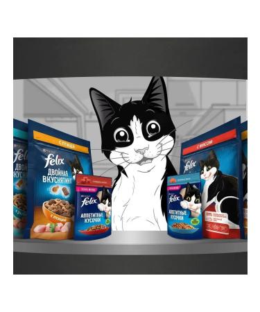 FELIX Dry food for cats with birds 1.3 kg - Buy Online on GoSupps.com