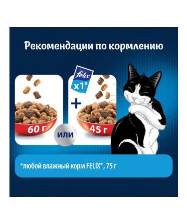 FELIX Dry food for adult cats with meat 600g - Buy Online on GoSupps.com