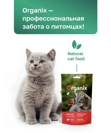 Organix A set of treats for cats pieces of beef fillet 5 pcs x50g - Buy Online on GoSupps.com