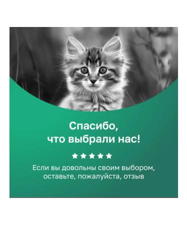 Organix Cream soup for kittens and cats from cod fillet 75g - Buy Online on GoSupps.com