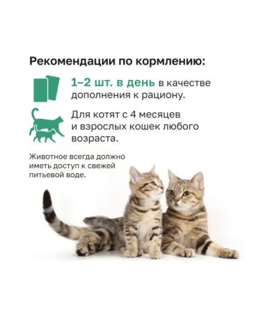 Organix Cream soup for kittens and cats from turkey meat 75g - Buy Online on GoSupps.com