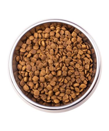 MONGE Therapeutic food for cats for gastrointestinal diseases 400 g - Buy Online on GoSupps.com