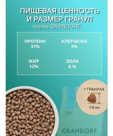 Grandorf Cat food for dry 4 types of meat with brown rice 2kg - Buy Online on GoSupps.com