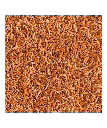 TETRA Reptile feed 100 g - Buy Online on GoSupps.com