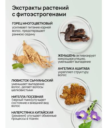 LYDIMOON Hair growth 500 g based on oriental recipes *5 - Buy Online on GoSupps.com