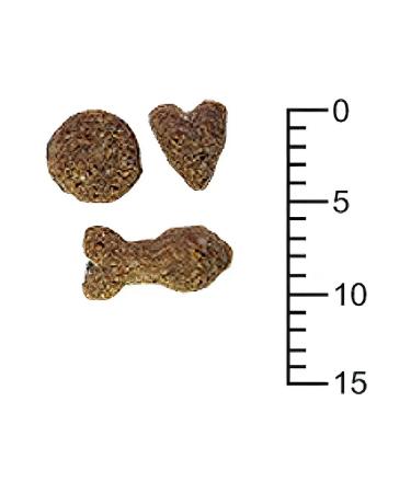Terra Cat Cat food 10 kg - Buy Online on GoSupps.com