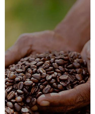 SWISSO KAFFEE Reich Rosten Coffee 1 kg 100% Arabica - Buy Online on GoSupps.com