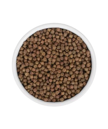 SAVITA Kittens feed 400 g - Buy Online on GoSupps.com