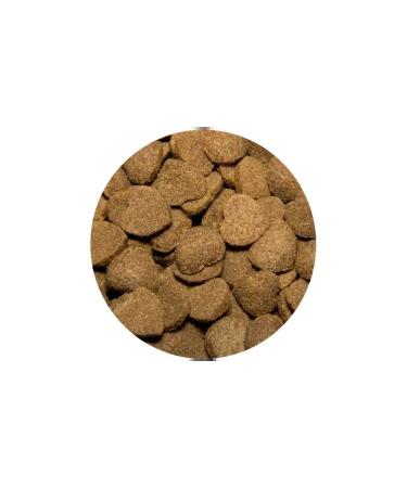 TASTY Dog food 2.2 kg - Buy Online on GoSupps.com