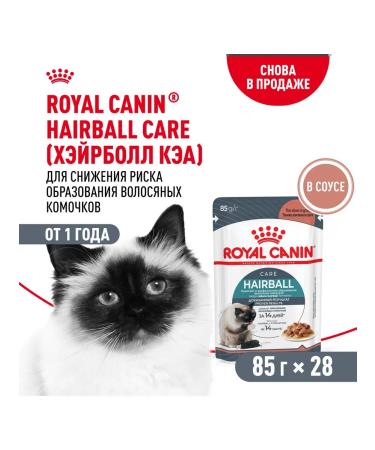 ROYAL CANIN Wet food for cats output of lumps of wool in sauce 28x85g