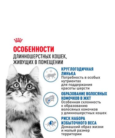 ROYAL CANIN Royal Kanin for cats Indodor Long Heir 2kg - Buy Online on GoSupps.com