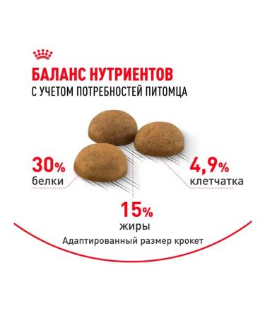 ROYAL CANIN Royal Kanin for cats Indodor Long Heir 2kg - Buy Online on GoSupps.com