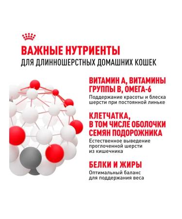 ROYAL CANIN Royal Kanin for cats Indodor Long Heir 2kg - Buy Online on GoSupps.com