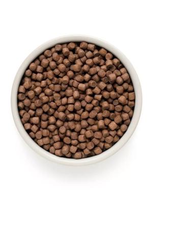 Grandorf Dog food 1 kg - Buy Online on GoSupps.com