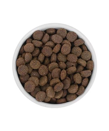 SAVITA Dog food 10 kg - Buy Online on GoSupps.com
