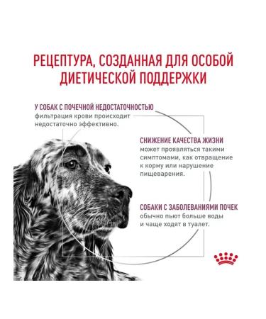 ROYAL CANIN for dogs Renal 14 kg - Buy Online on GoSupps.com