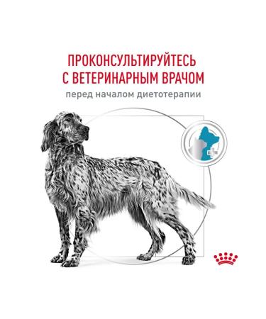 ROYAL CANIN Feed for medium and large dogs with food allergies 1.5 kg - Buy Online on GoSupps.com