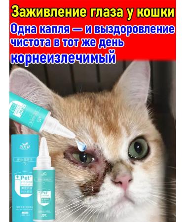Ophthalmic drops for a cat from inflammation and lacrimation
