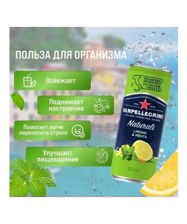 San Pellegrino Gas. Drink lemon & mint 0.33l x 24pcs - Buy Online on GoSupps.com