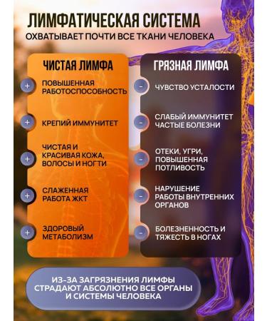 THE RIGHT HERBS Herbal lymphatic drainage tea for weight loss in filter bags - Buy Online on GoSupps.com