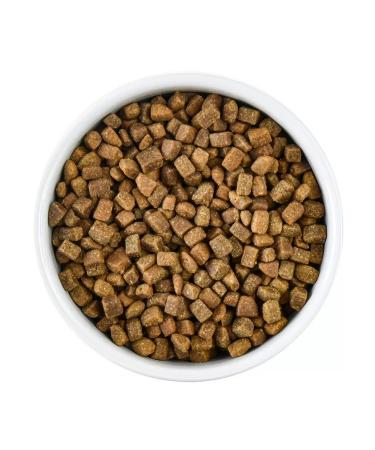 Organix Cat food 600 g - Buy Online on GoSupps.com