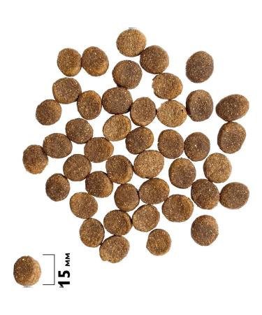 Brit Dog food 1 kg - Buy Online on GoSupps.com