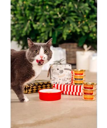 SAVITA Cat food 100 g x 12 pcs - Buy Online on GoSupps.com