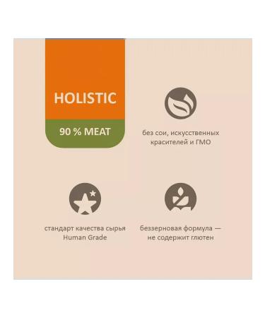 SAVITA Cat food 100 g x 12 pcs - Buy Online on GoSupps.com