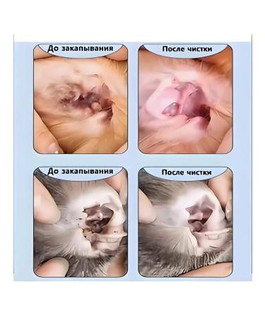 Drops from the ear tick for cats and dogs 20 ml - Buy Online on GoSupps.com