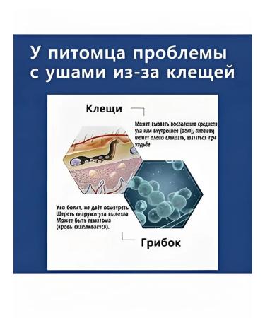 Drops from the ear tick for cats and dogs 20 ml - Buy Online on GoSupps.com