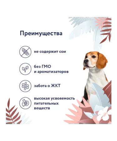 FLORIDA Dog feed 340 g x 12 pcs - Buy Online on GoSupps.com