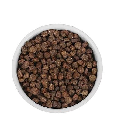SAVITA Cat food 2 kg - Buy Online on GoSupps.com