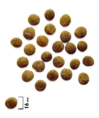 Brit Dog food 3 kg - Buy Online on GoSupps.com