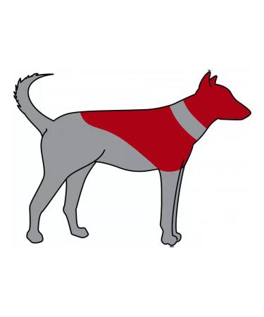 Protective collar for dogs inflatable blue m-l 45-57 cm - Buy Online on GoSupps.com