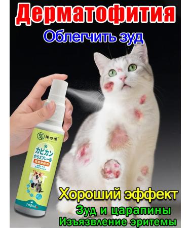 lichen ointment for cats