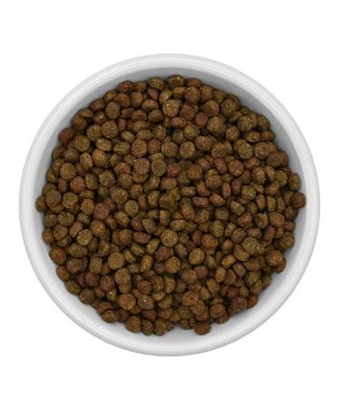 SAVITA Cat food 5 kg - Buy Online on GoSupps.com