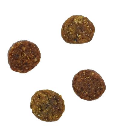 SAVITA Cat food 5 kg - Buy Online on GoSupps.com