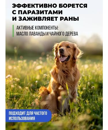 Shampoo for animals - Buy Online on GoSupps.com