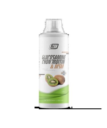 2SN Chondroprotector glucosamine chondroitin MSM 500 ml kiwi