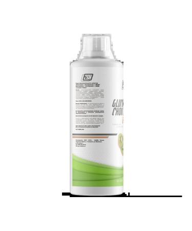 2SN Chondroprotector glucosamine chondroitin MSM 500 ml kiwi - Buy Online on GoSupps.com
