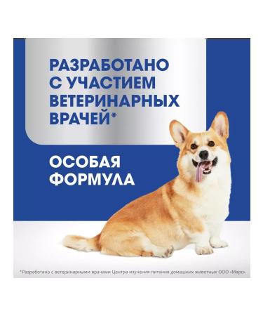 PERFECT FIT Immunity treat for dogs with beef and marigolds 90 g - Buy Online on GoSupps.com