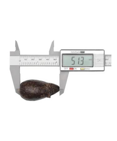 Tappi Mint mouse for cats cat mint bee wax 5.13 cm - Buy Online on GoSupps.com