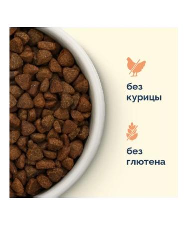 Advance Dog food 3 kg - Buy Online on GoSupps.com