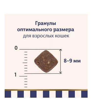 Taormina Cat food 600 g - Buy Online on GoSupps.com