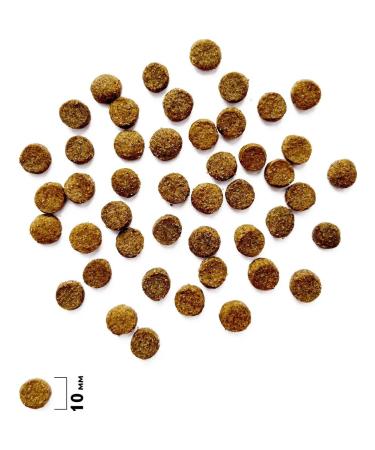 Brit Cat food 7 kg - Buy Online on GoSupps.com