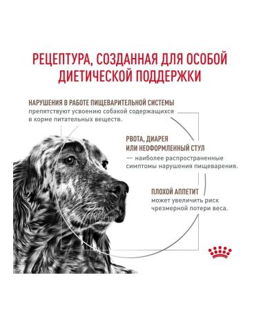 ROYAL CANIN for dogs GastroinTestinal 2 kg - Buy Online on GoSupps.com