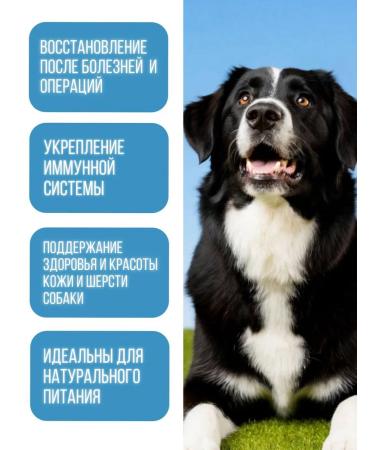 Polidex Polydex multivitum plus for dogs plus 300 tablets - Buy Online on GoSupps.com