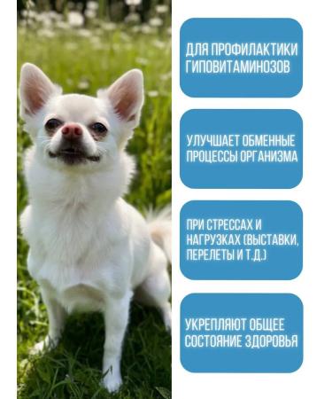 Polidex Polydex multivitum plus for dogs plus 300 tablets - Buy Online on GoSupps.com